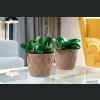 Doniczka osłonka FLOW Petit Eco WOOD 23 h21 - Naturalne drewno