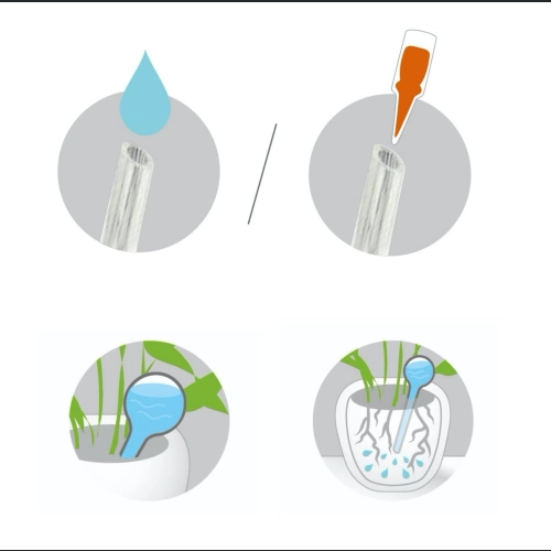 Szklana kula do nawadniania roślin 8 h20 - Fioletowa