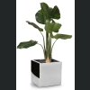 Donica ze stali nierdzewnej MIRROR Cube 50x50 h50 - Lustro
