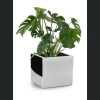 Donica ze stali nierdzewnej MIRROR Cube 50x50 h50 - Lustro