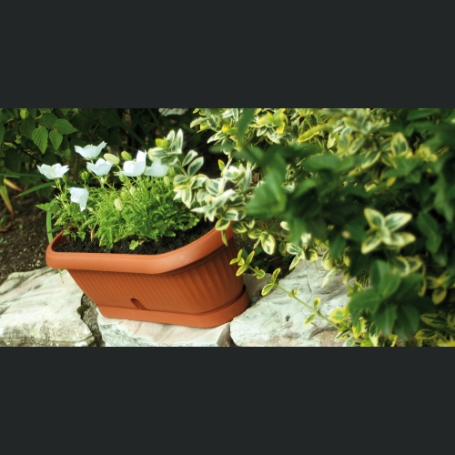 Doniczka kaktusiarka TERRA DCK2 31x13 h11 - Terakota