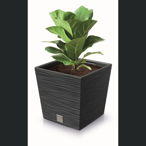 Doniczka FURU Square Low DFS300 30x30 h29 - Antracytowa