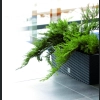 Skrzynka rattan Rato DRTC500 51x19 h19 + system- Antracyt