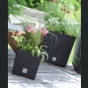 Doniczka rattan Rato Low DRTS325L 32x32 h32 - Umbra