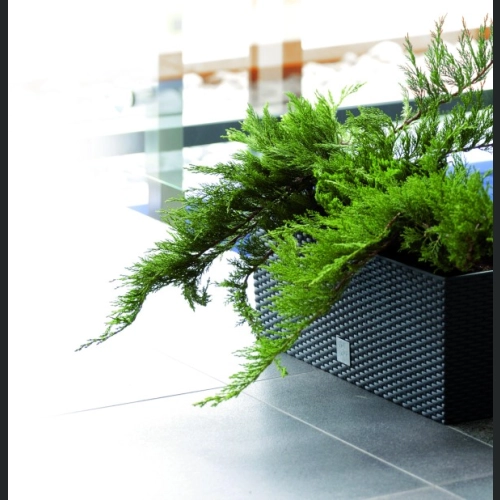 Skrzynka rattan Rato DRTC600 60x25 h24 + system - Antracyt