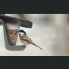 Karmnik dla ptaków BIRDYFEED DOUBLE 28x18 h17 - Szary kamienny