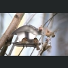 Karmnik dla ptaków BIRDYFEED SQUARE 25x18 h17 - Szary kamienny