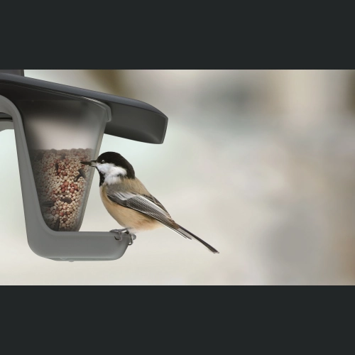 Karmnik dla ptaków BIRDYFEED DOUBLE 28x18 h17 - Szary kamienny