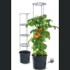 Doniczka do uprawy pomidorów TOMATO Grower 40 h 31,5 - 28 L