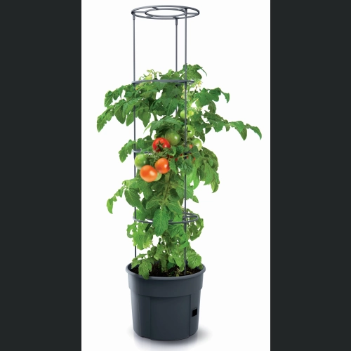 Doniczka do uprawy pomidorów TOMATO Grower 30 h24,5 - 12 L