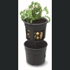 Doniczka do uprawy ziemniaków Potato Grower - 28L