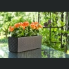 Skrzynka Begonia 19x56 h19,5 - Mokka rattan