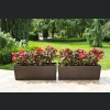Skrzynka Begonia 19x56 h19,5 - Mokka dłuto
