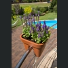 Donica balustradowa Lobelia 29x29 h24 - Ceglasta