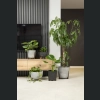 Doniczka misa ROMA 47 h26,5 - Czarny Beton