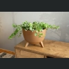 Doniczka misa Roma ECO wood 33 h23,5 - Naturalne drewno