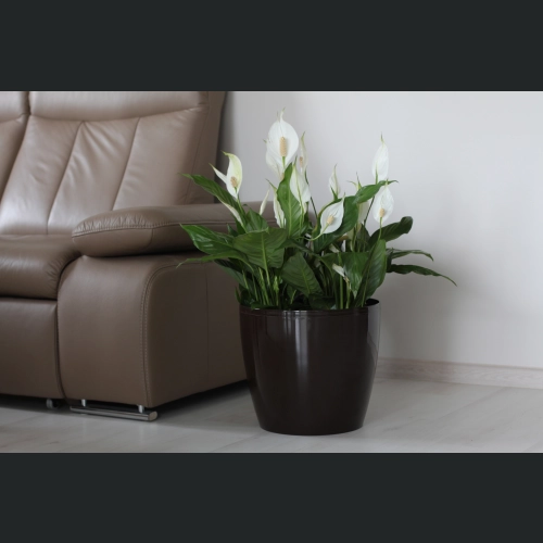 Doniczka-osłonka Magnolia 30 h26 - Czarna połysk