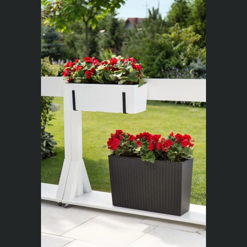 Skrzynka Begonia 19x56 h19,5 - Biała rattan