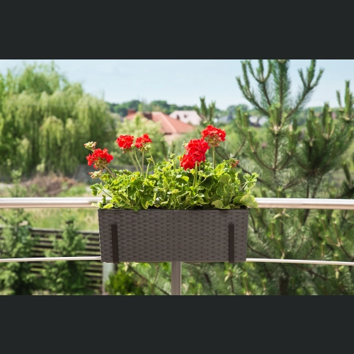 Skrzynka Begonia 19x56 h19,5 - Grafit rattan