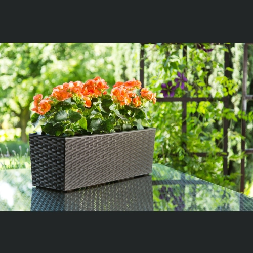 Skrzynka Begonia 19x56 h19,5 - Mokka rattan