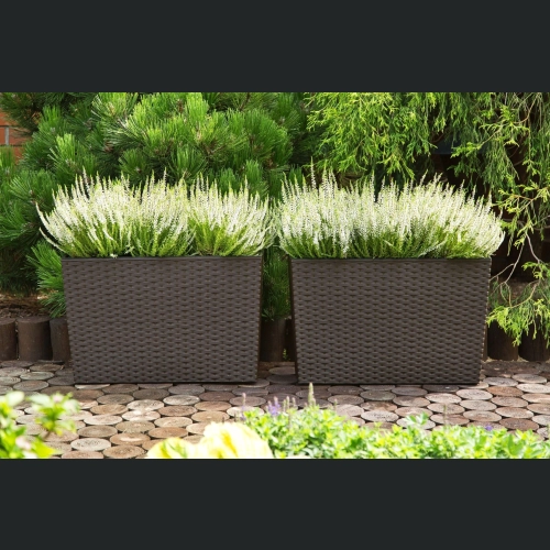 Skrzynka Werbena 19x56 h36 - Mokka rattan