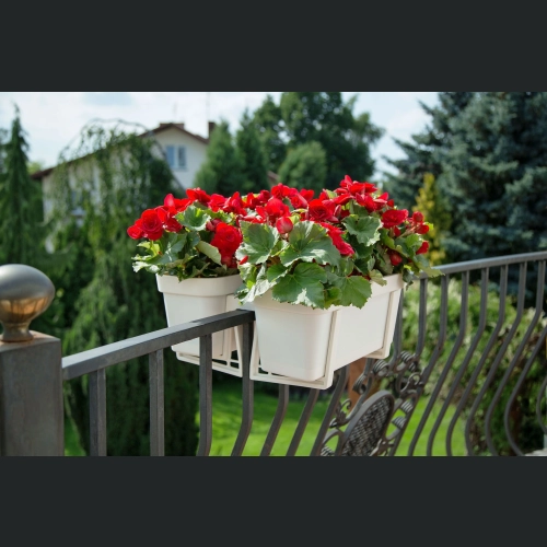 Skrzynka balkonowa Lobelia 40x17 h16 - Krem